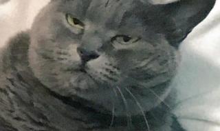 时间是把杀猪刀 时间是把杀猪刀