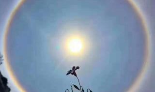 日晕出现有什么预兆 日晕出现有什么预兆